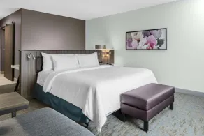 Hilton Garden Inn Detroit Utica - Chambre