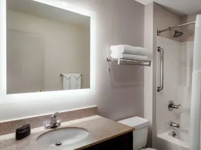 Holiday Inn Express & Suites Chicago-Libertyville by IHG - Salle de bain