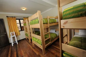 Bear Packer Hostel - Room