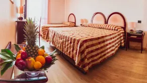 Balletti Palace Hotel - Chambre