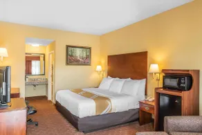 Quality Inn Calera I-65 exit 231 - Zimmer