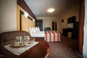 Hotel Ozana - Room