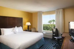 Fairfield Inn & Suites Houston Intercontinental Airport - Chambre