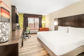 Holiday Inn Express Ft Lauderdale Cruise-Airport by IHG - Chambre