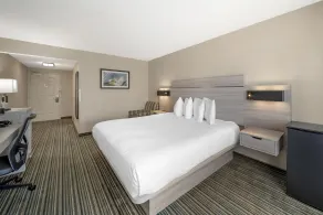 Best Western Plus Twin View Inn & Suites - Chambre