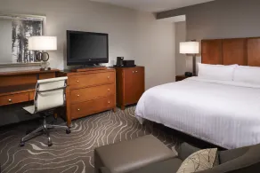 Detroit Metro Airport Marriott - Chambre