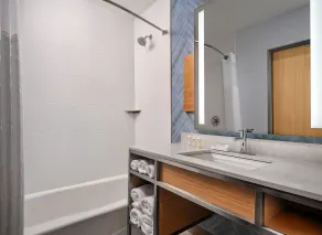 Hilton Garden Inn Grapevine at Silverlake Crossing - Salle de bain