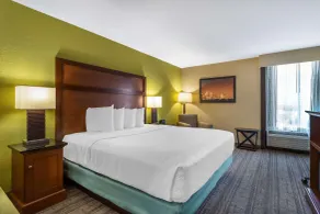 Best Western Plus Houston Energy Corridor - Chambre