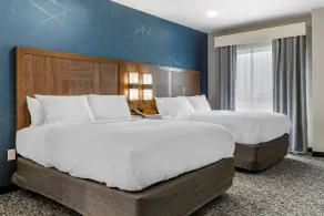 Comfort Suites Greenville Airport - Chambre