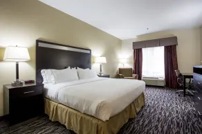 Holiday Inn Express Hotel & Suites Camden-I20 (Hwy 521) by IHG - Værelse