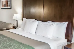 Comfort Inn Federal Way - Seattle - Chambre