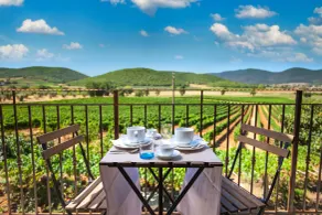 Poggiolivi Agriturismo Bio in Maremma - Udsigt fra værelset