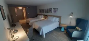 Hilton Garden Inn Sudbury - Chambre