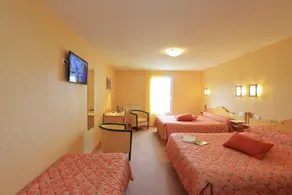 Logis Hotel Spa Restaurant Le Provence - Zimmer