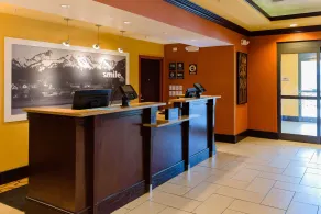 Hampton Inn & Suites Denver/Highlands Ranch - Réception