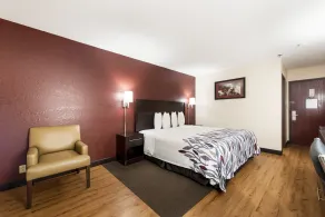 Red Roof Inn Auburn - Chambre