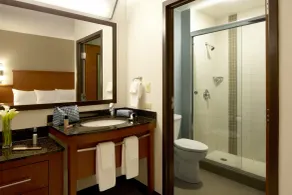 Hyatt Place Atlanta Buckhead - Badrum