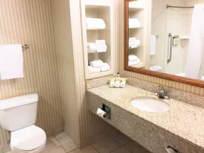 Holiday Inn Express Syracuse Airport by IHG - Salle de bain