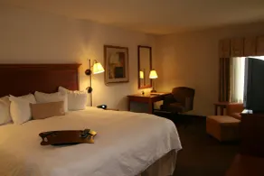 Hampton Inn Columbus - Airport - Chambre