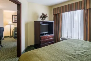 Quality Inn & Suites Harvey - Chicago Southland - Chambre