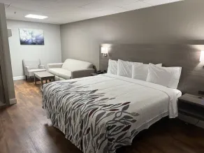 Red Roof Inn & Suites Swansea - Habitación