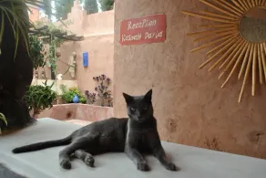 Auberge Kasbah Darla - Resepsjon