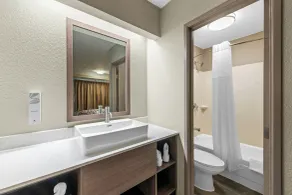 Red Roof Inn Asheville - Biltmore West - Baño