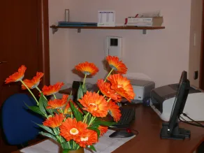 La Collina - Reception
