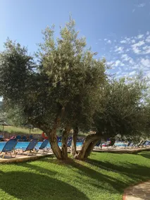 Lassi Hotel - Piscine