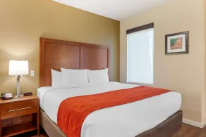 Comfort Inn & Suites Near Ontario Airport - Chambre