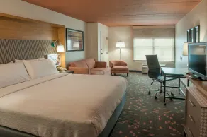 Holiday Inn Pensacola - University Area by IHG - Chambre