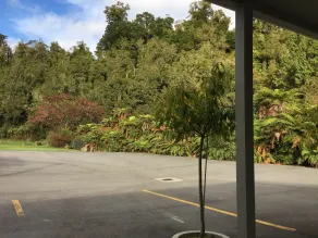 Franz Josef Oasis - Vistas desde la habitación