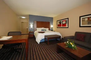 Hampton Inn Jackson/Flowood (Airport Area) MS - Chambre