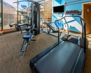 Comfort Inn & Suites Erie - Splash Lagoon Indoor Waterpark - Salle de remise en forme