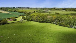 Ploughman's Rigg - Golf