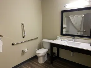 Cobblestone Inn & Suites - Forest City - Badeværelse