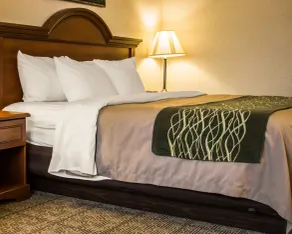 Comfort Inn & Suites Dimondale - Lansing - Room