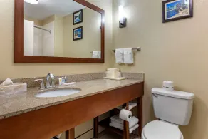 Comfort Suites Clayton - Garner - Salle de bain