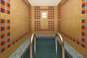 Rubin Wellness & Conference Hotel - Piscina