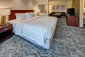 SpringHill Suites by Marriott New Bern - Chambre