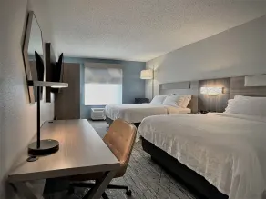 Holiday Inn Express and Suites Tampa I-75 at Bruce B. Downs by IHG - Quarto