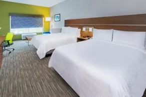 Holiday Inn Express & Suites - Houston - Downtown North by IHG - Rum