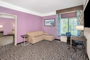 La Quinta Inn & Suites by Wyndham Norfolk - Chambre