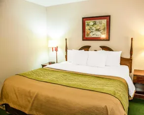 Quality Inn & Suites Lebanon I-65 - Chambre