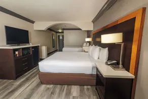 Comfort Inn & Suites Near Universal - N Hollywood - Burbank - Chambre