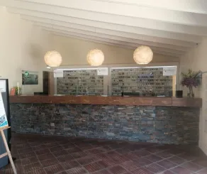 Pedras del Rei - Reception