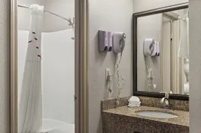 Red Roof Inn Baldwin - Bathroom