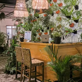 Snooze Ijen - Lobby