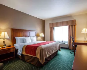 Comfort Inn & Suites Davenport - Quad Cities - Chambre