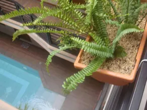 Hidden Pearl Hotel (Janus Luxury Suites) - Piscine